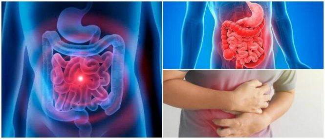 Sangrado del tubo digestivo